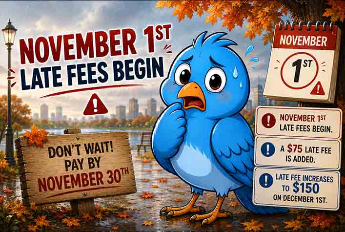 Early Bird November