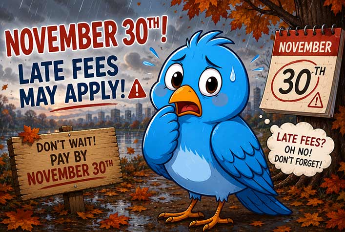 Early Bird November