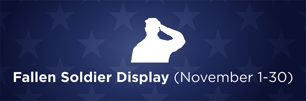Fallen Soldier Display Header graphic.png